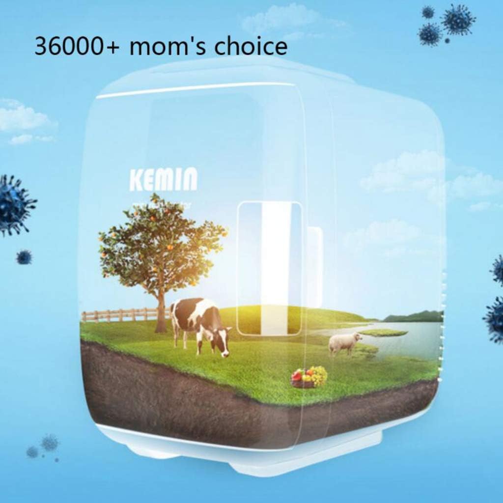 Mini Refrigerator 10 Liters-Portable Small Refrigerator for Beer and Beverage-Bedroom Skin Care Products Office with Refrigeration and Heat Preservation Functions (Type B)