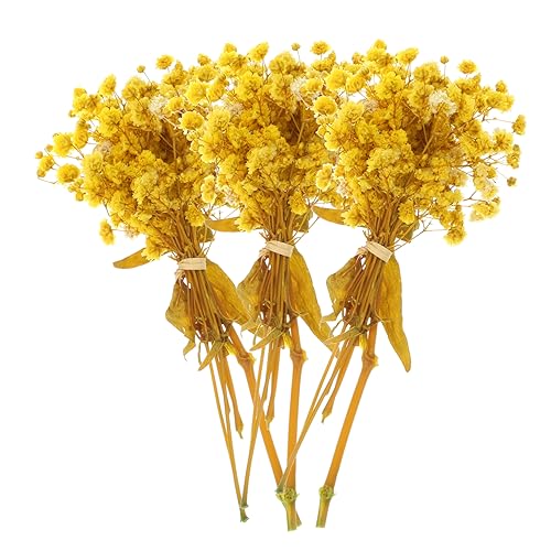 Ramos de flores secas Babysbreath para decoración