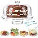 MASTERTOP Campana para Tartas Transparente con Bandeja Reversible Cúpula Plástico San para Pastelas Caja Redonda para Tartas con Tapa y Asa para Pasteles y Postres