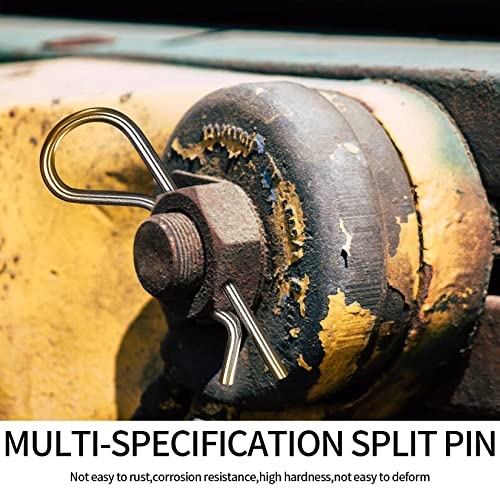 100 Stk Splinte Federstecker Set, Federsplinte Edelstahl 304, Sicherungssplinte R-Clips, Sicherungssplinte Splinte Sortiment kit für Autos Mechaniker