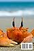 Oh Crab! What's My Password Again?: Large Print Alphabetical Personal Internet Email Username & Password Journal for Adults, Seniors or Anyone who has Trouble Remembering Important Information