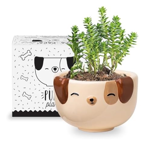 Apa la Papa Dog Ceramic Planter Cover