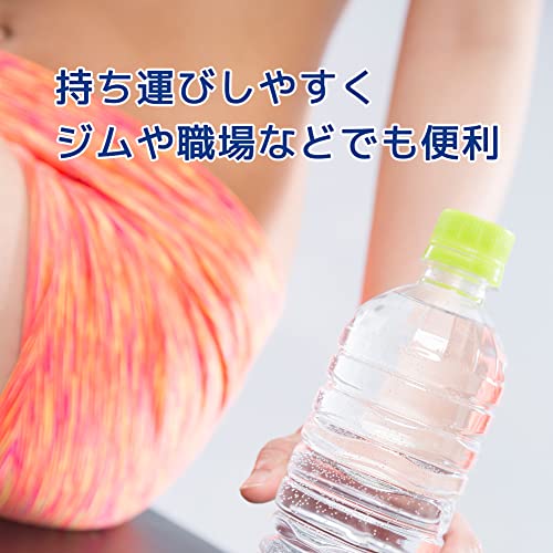 ボディウイング BCAAタブレット 120粒