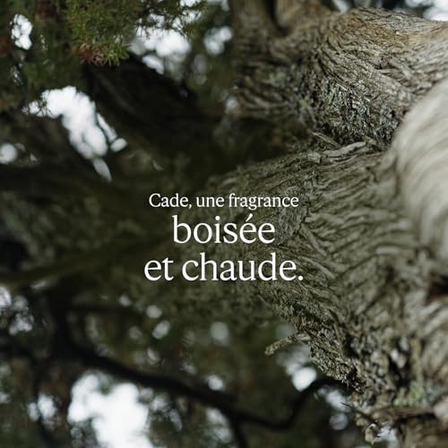 'occitane Cade Fluide Energisant 50ml - vue 3