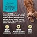 Stewart Chicken Breast Dog Treats, 3 oz, ~55 Pieces, Freeze Dried Raw, Single Ingredient, 74% Protein Training Treats or Meal Topper in a Resealable Tub, Grain Free, Gluten Free