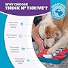 Outward Hound by Nina Ottosson Dog Brick Treat Puzzle Enrichment Toy, Level 2 Intermediate Game, Blue #5