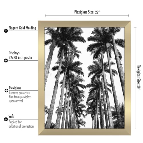 Americanflat 22x28 Poster Frame with Polished Plexiglass - Gold Picture Frame - Wide Photo Frames Made of Engineered Wood for Vertical or Horizontal Wall Display - Epic Collection - Gold