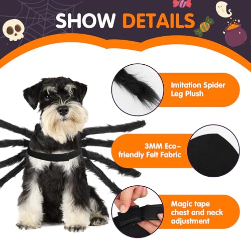 Dog-Cat-Spider-Costume-for-Halloween-Party-Decoration