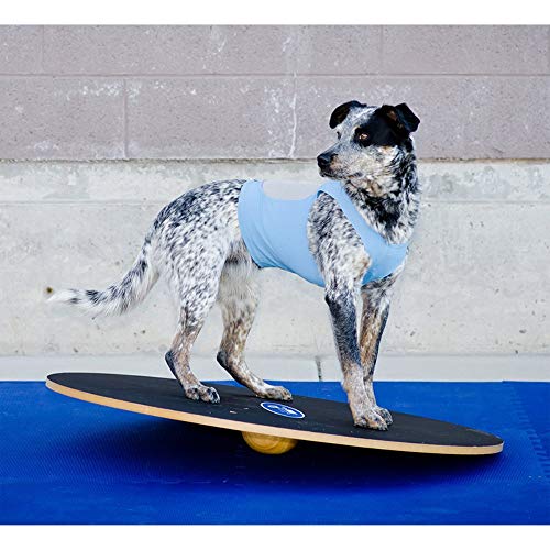 FitPAWS 20" Wobble Board