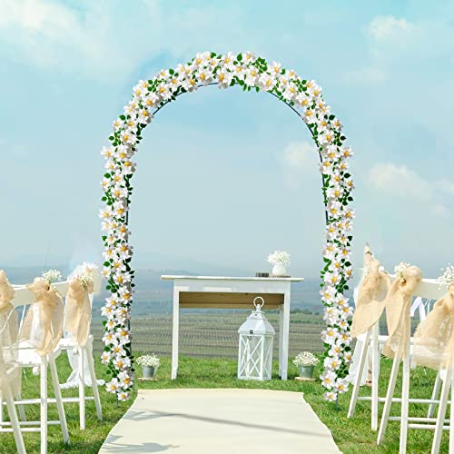 Best Goods Rozenboog metaal stabiel rozenboog halfrond tuinboog met versiering rankboog voor plant, rozenframe (koepel) - Image 6