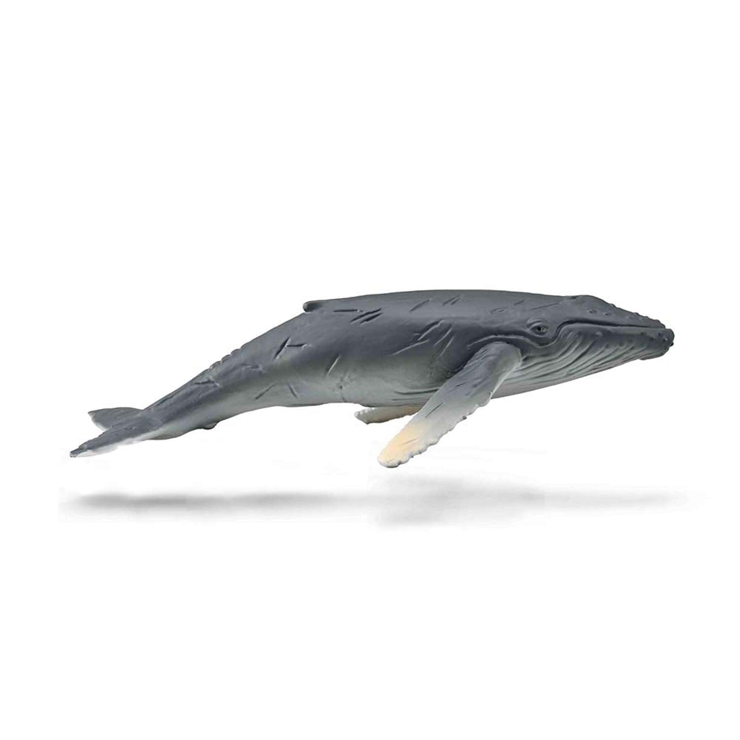 CollectA Humpback Whale Calf : Amazon.co.uk: Toys & Games