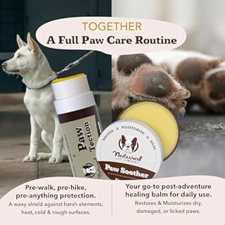 Natural Dog Company PawTection Balm 2 oz Stick – Dog Paw Protection Wax with Shea Butter & Calendula – Shields Paws from Snow, Ice, Salt, Hot Pavement & Rough Terrain – Lick-Safe, Vegan