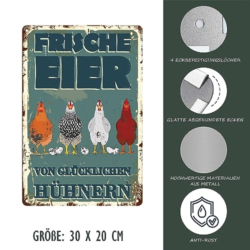 Hühnerstall Outdoor Blechschild-frische Eier glückliche Hühner Metallschild,Lustige Coop Metallschilder Vintage Schild Hühnerstall Zubehör Outdoor Deko(30x20cm)