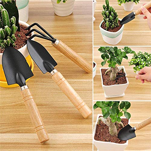 DECDEAL 10 PCS Conjunto de Ferramentas de Plantio de Jardim Bonsai Suculenta Transplantação Miniatur