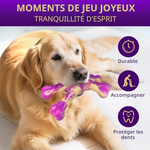 Jouets en nylon durable pour grands chiens, pack de 3