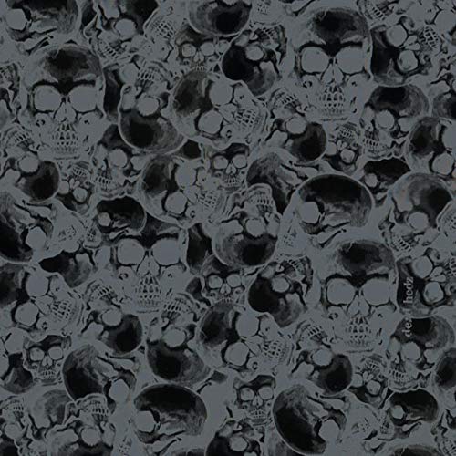 Water Transfer Printing Film - Hydrographic Film - Hydro Dipping- Silver Dead HEDZ - LL-901-1-A