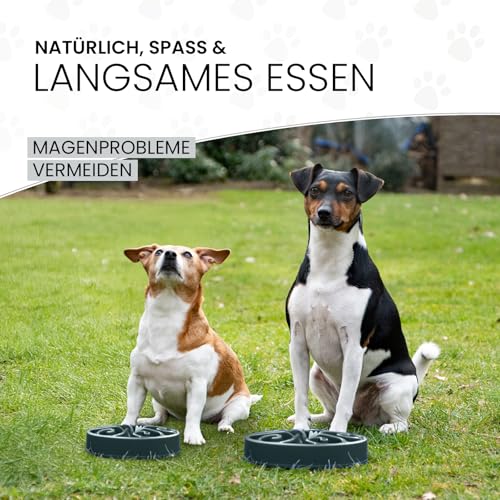 Eat Slow Live Longer Lebensmittel Lebensmittel Essen Langsam Leben Längste Original Grau L
