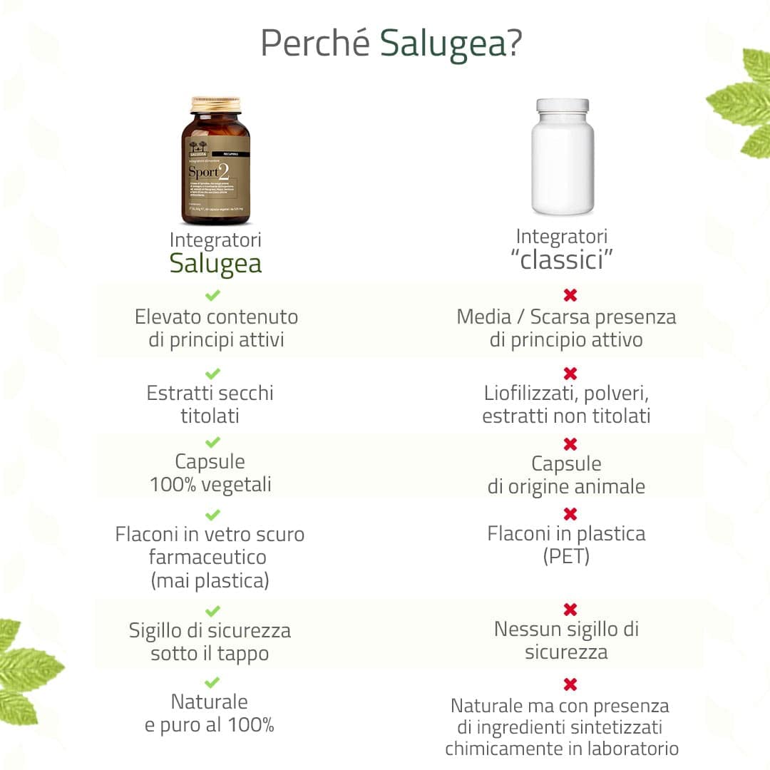 Sport 2 Recupero Salugea - Integratore per il Recupero Energetico e Muscolare Post-Allenamento - 100% Naturale con Spirulina, Melograno, Sambuco, Maqui, Semi D'Uva - No Caffeina-60 capsule vegetali