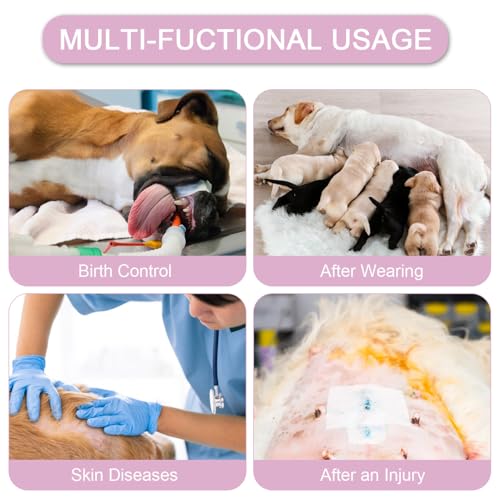 Image of Dog Surgery Suit Female Spay Recovery Suit for Dogs Surgical Recovery Suit for Female Dog Neuter Recovery Suit Male Dogs Onesie for Surgery Fits Small Medium Purple Dinosaurs /L