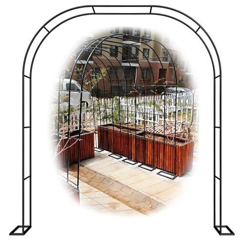 Arche de mariage en métal noir tonnelle de jardin pour plantes grimpantes et fêtes