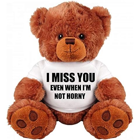 SinMan Funny Teddy Bear Couple Gift: Medium Teddy Bear Stuffed Animal : I Miss You Cover