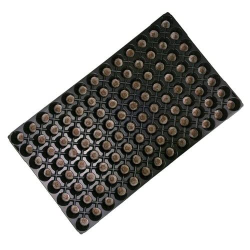Vassoio Semina Jiffy 7-104 Alveoli Con Blocchi Di Torba 53x31 Cm Per Piantine E Talee - Foto 4