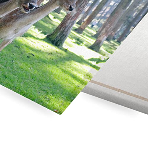 Tableau biche cerf mignon toile imprimée pour habiller un mur vide