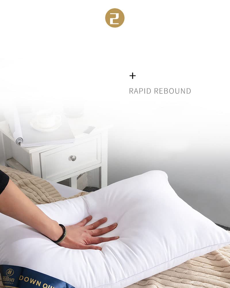 MISSMAO Oreiller 48x74 Lot de 2 pour Le Lit Coussins pour Dormir et Décoratifs Antiallergiques Anti-Acariens et Rafraichissant Rectangulaire Oreillers de Lit,Blanc,48x74cm(700g)