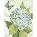 Lang Blue Hydrangea Boxed Notecard by Susan Winget, 4 x 5 Inches, 13 Cards and Envelopes (1005295)