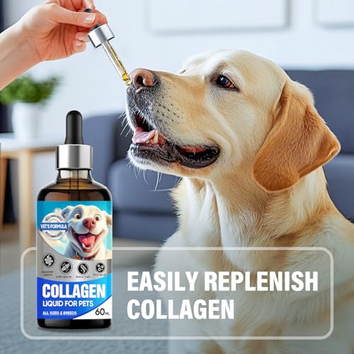 Liquid Collagen for Dogs, Collagen for Cat & Dog, Pet Collagen Supplement, Maintaining Joint Health, Shiny Coat and Healthy Skin Care, Digestive Health, Natural Bacon Flavor - Image 3