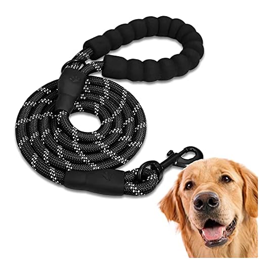 Edipets, Correa Perro, Correas para Perros, para Cachorro, Pequeños, Medianos y Grandes, 1,2 m, 1,5 m, 2,2 m, Correa Perro Adiestramiento (220 CM, Negro)