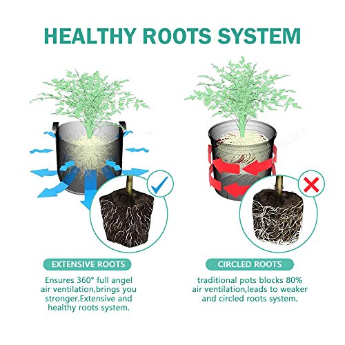 Joyseus PP40 3.25 Inch Seed Starter Pots, Organic Planting Peat Pots For Indoor Garden Seedling thumb #3