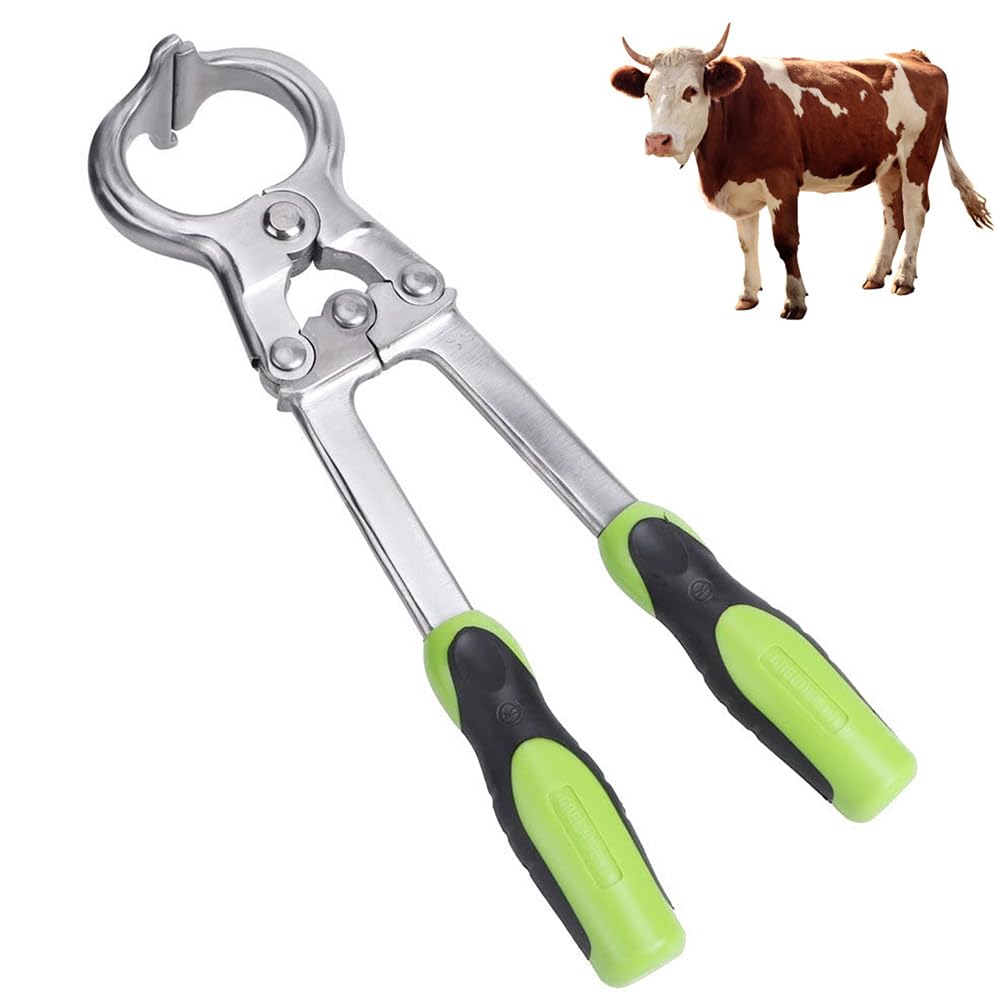 Pince de castration de vache taureau sans sang en acier chirurgical durable