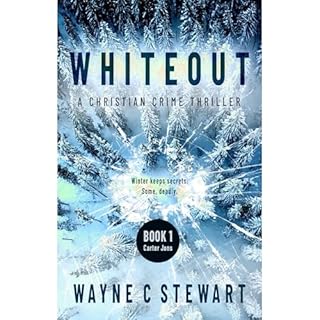 Whiteout Audiobook By Wayne C Stewart cover art