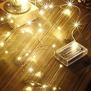Makion Led String Lights 100 LEDs Decorative Fairy Battery Powered String Lights, Copper Wire Light for Bedroom,Wedding…