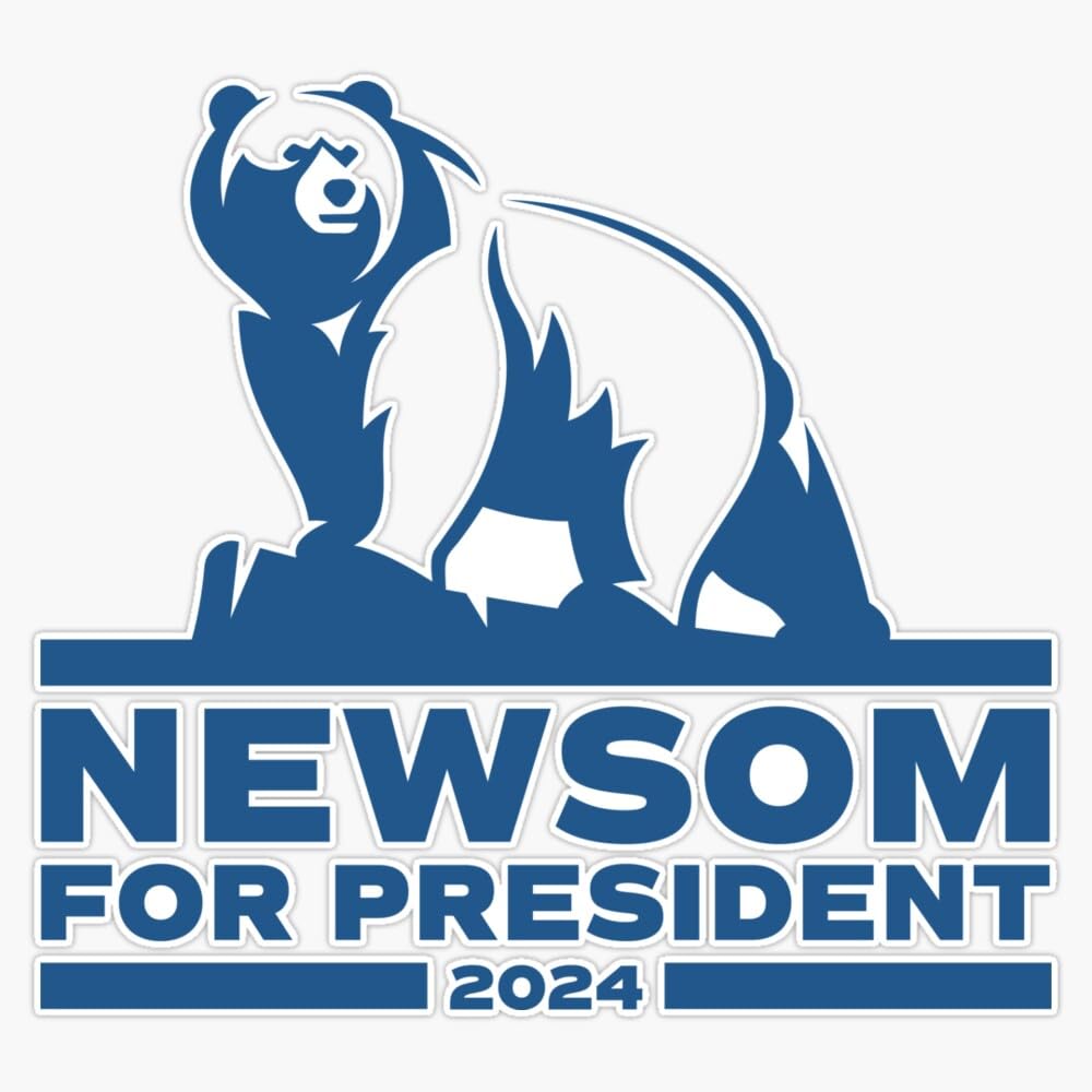 NEWSOM I Did That Funny Political Stickers Gavin Decals Made In