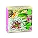 Michel Design Works Little Soap, White Peony, 3.5 Ounce