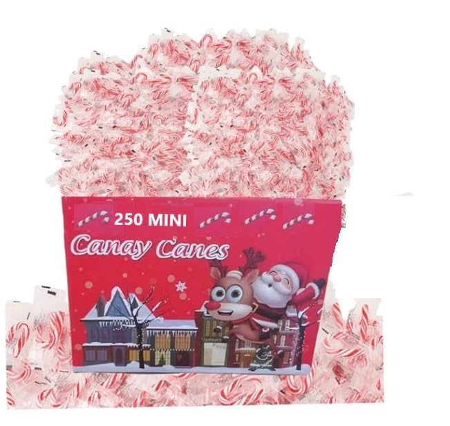 MINI CANDY CANES (250 MINI CANDY CANES) Mini Candy Canes