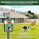 Katzenschreck Ultraschall Solar Abwehr - 2025 Verbesserte Bewegungssensor Abschreckung für Katzen, Hunde, Marder, Rehe und Eichhörnchen,Tierabwehr mit PIR-Sensor und Blitz, IP65 wasserdicht, Hundeschr