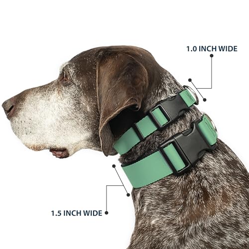 Collar Selva Verde Buckle Down para evitar escapes de perros pequeños con cierre rápido seguro 3