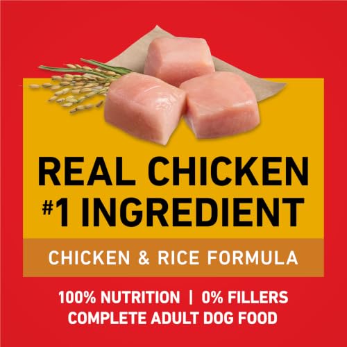 Purina ONE Chicken and Rice Formula Natural Dog Food - Image 5