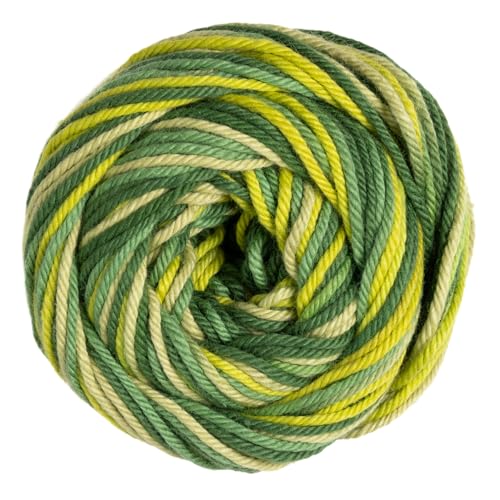Image of Knit Picks Dishie Multi Worsted Weight 100% Cotton Yarn for Crocheting | 100g of multicolor variegated yarn in Plant Shop color for dishcloths, machine washable.