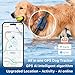 DBDD AI GPS Tracker for Dogs (30lbs+), Real Time Location and AI Vet Health Management, Electronic Fence, Waterproof, iOS and Android Universal（Black）