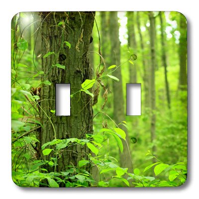 Interrupteur à baïonnette pour remplacer vos plaques blanches ternes - 3