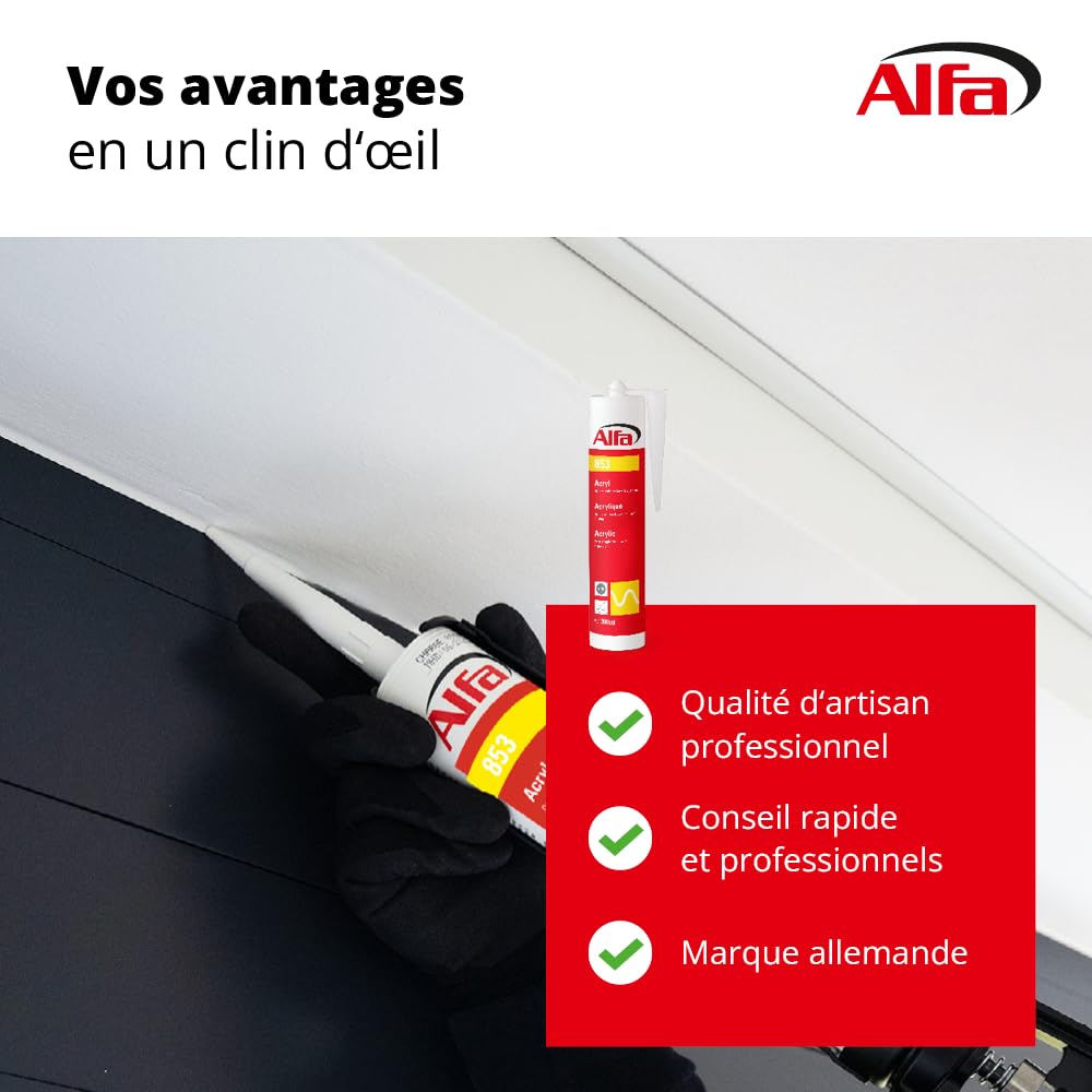853 ALFA - Mastic acrylique de dispersion pour joints et fissures, lot de 20, 310 ml (6,2L), blanc, de qualité professionnelle, sans odeur, sans solvant, à forte adhérence