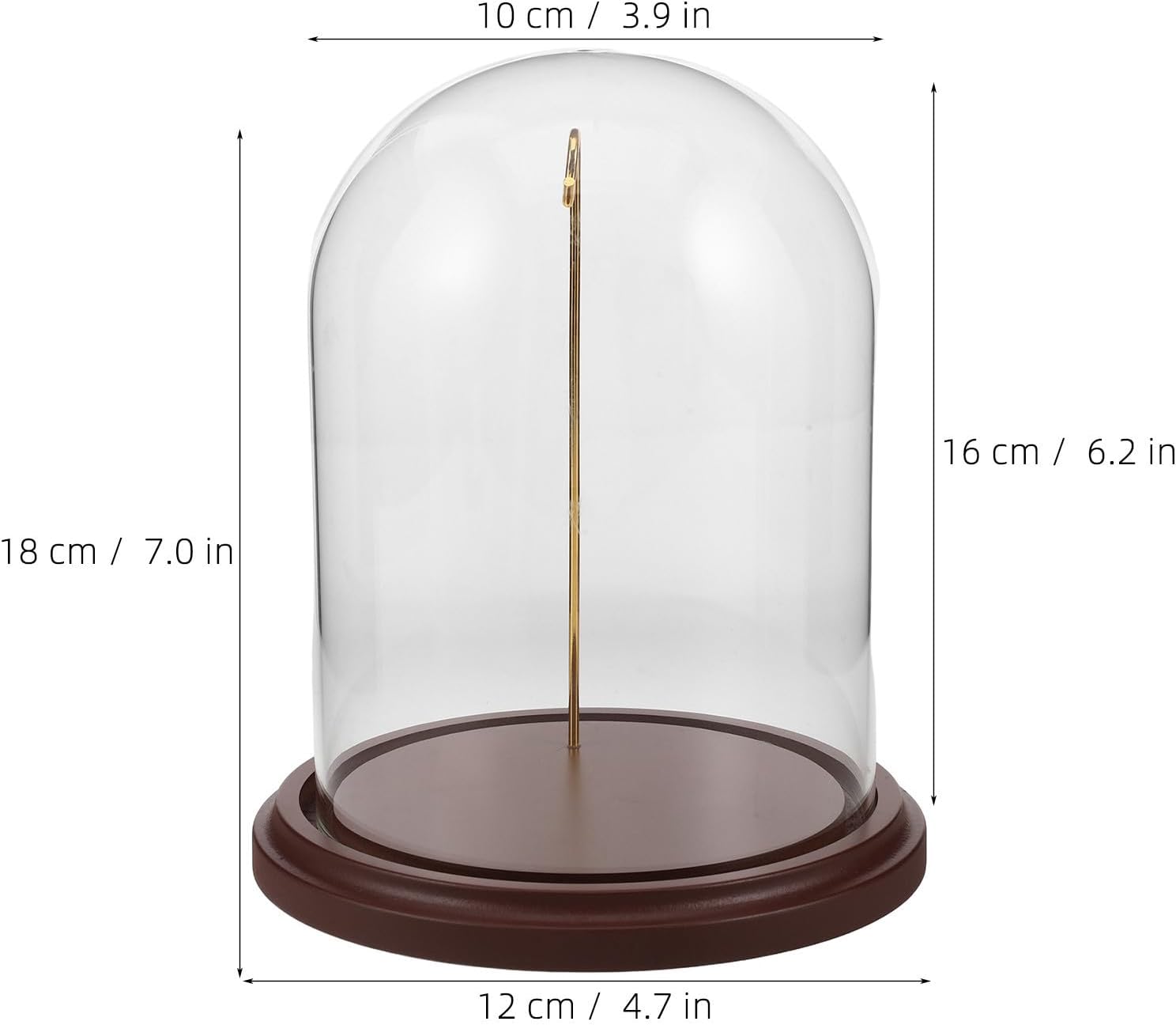 Unomor Glass Pocket Watch Display Dome Cloche with Wood Base and Hook