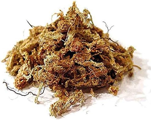 Sphagnum Moss Chile – 1 kg