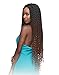 Janet Collection Nala Tress FLOSSI BOX Crochet Braid 30 (1B)