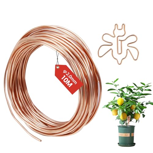 FIFIBANG Fil de Cuivre Émaillé 2mmX 10 M, T2 Fil de Cuivre Nu, Fil de cuivre isolé Pur pour Soudure, Appareil, Artisanat DIY, Solénoïde