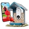 Birdbuddy PRO Solar Smart Bird Feeder with Camera – AI Bird Species Identification, 5MP Photos, 2K HD Video Live Stream Camera, Slow-Motion Video, 2.6in Focus – Blue Solar